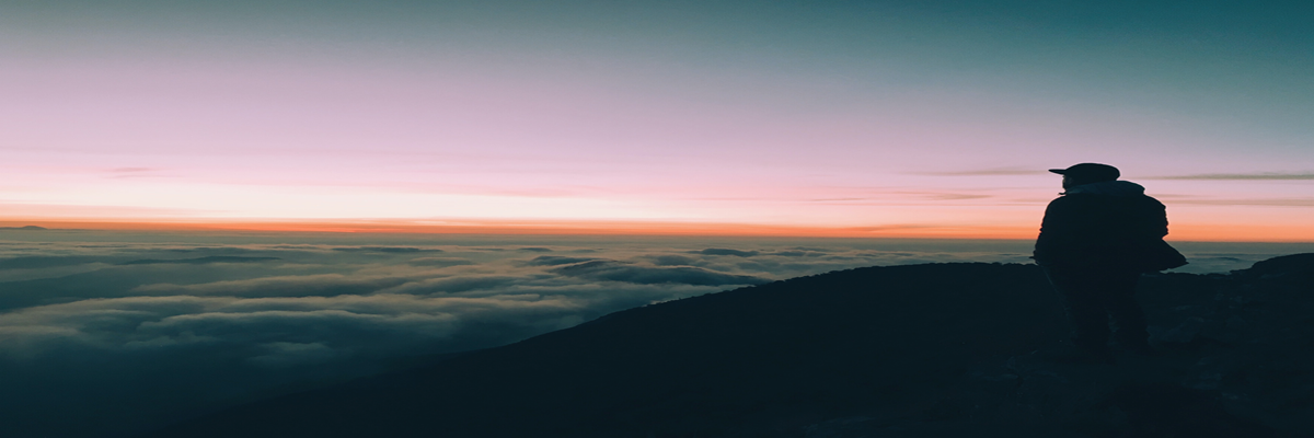 Alio IT Case Studies - Software development success stories